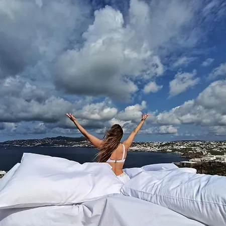 Mykonos Point Luxury Villas 别墅